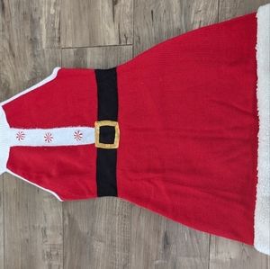 Adorable Mrs. Claus Sweater Dress